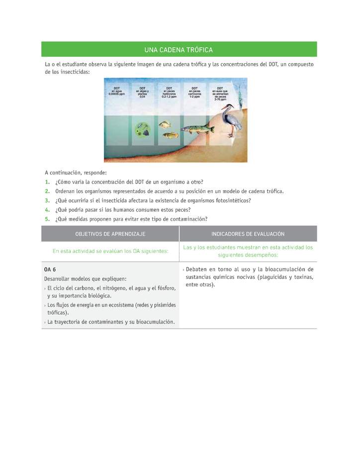 Evaluación Programas - CN1M - OA06 - OA07 - U3 - UNA CADENA TRÓFICA Imagen portada