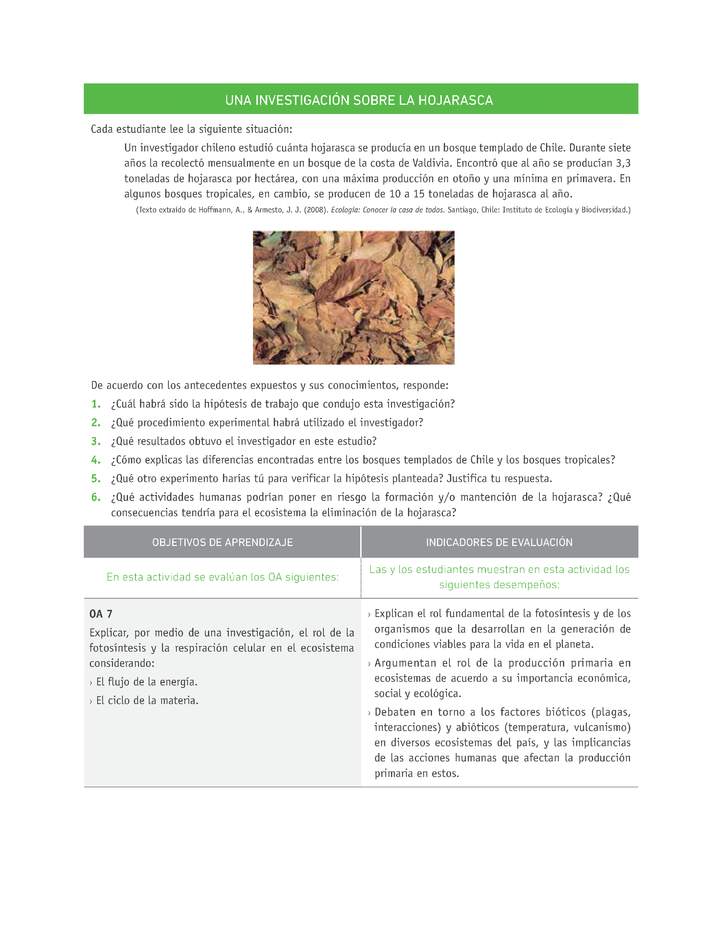 Evaluación Programas - CN1M - OA07 - U3 - UNA INVESTIGACIÓN SOBRE LA HOJARASCA Imagen portada