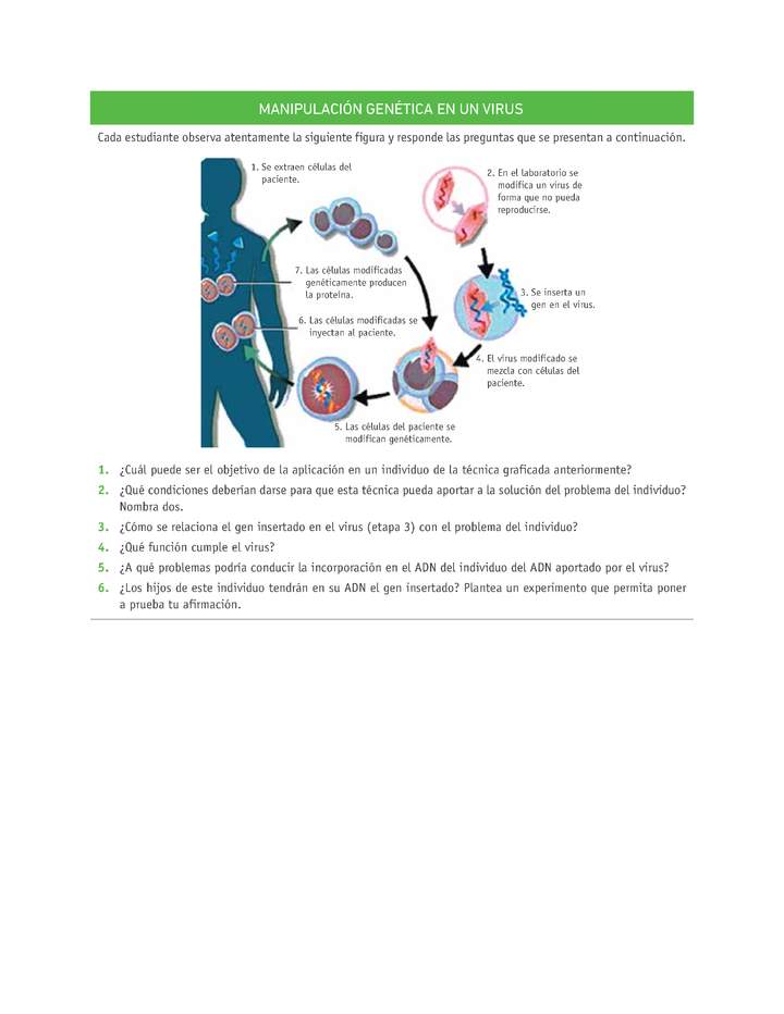 Evaluación Programas - CN2M - OA08 - U4 - MANIPULACIÓN GENÉTICA EN UN VIRUS Imagen portada