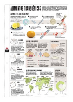 Infografía: Alimentos transgénicos Imagen portada