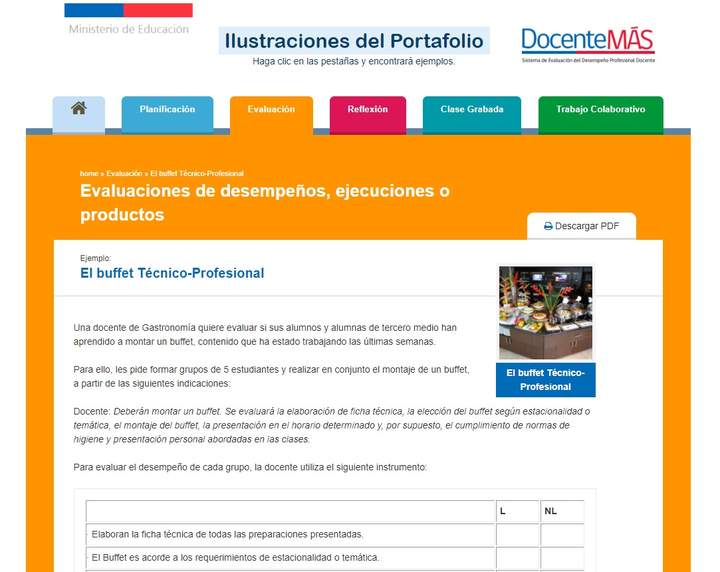 Ejemplo pauta de cotejo Imagen portada