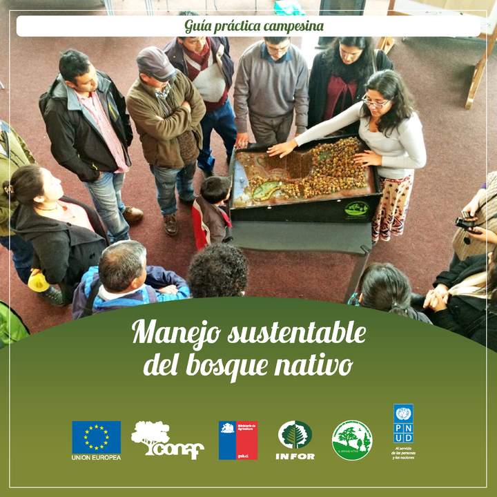 PNUD. (2016). Manejo sustentable del bosque Nativo. Imagen portada