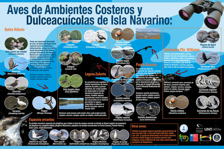 Imagen portada