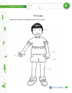 Partes del cuerpo humano Imagen portada