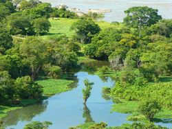 Fotografía del río Orinoco Imagen portada