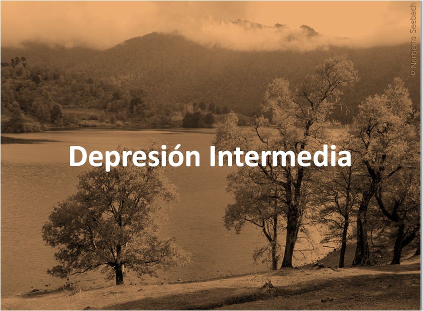 Depresión intermedia de Chile Imagen portada