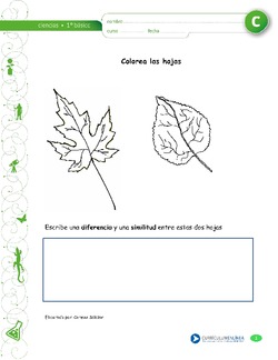 Colorea las hojas Imagen portada