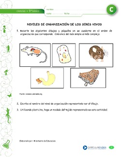 Imagen portada