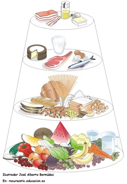 Tipos de alimentos Imagen portada