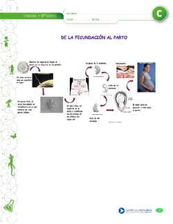 De la fecundacion al parto Imagen portada