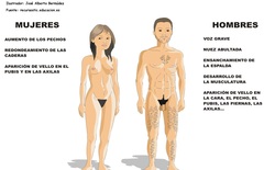 Desarrollo sexual humano Imagen portada