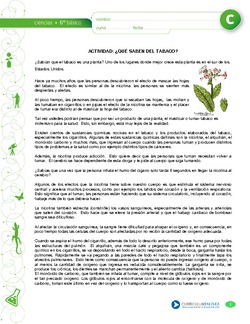 Qué saben del tabaco Imagen portada