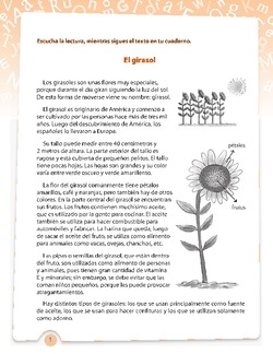 Partes de la planta Imagen portada