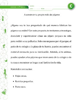 Nido de pájaros Imagen portada