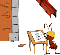 Arquitecto Imagen portada