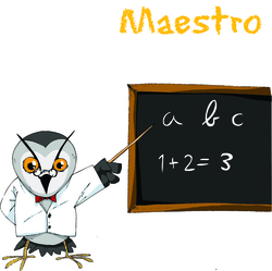 Maestro Imagen portada