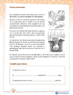 Texto informativo del caracol Imagen portada