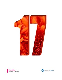 Número diecisiete Imagen portada