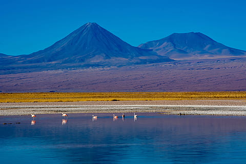 Laguna altiplánica Socaire Imagen portada