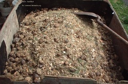Compost Imagen portada