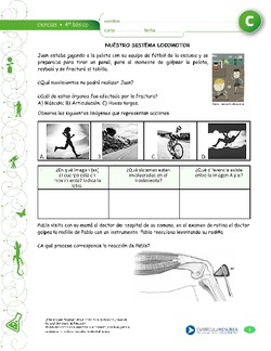 Nuestro sistema locomotor Imagen portada