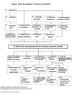 Mapa conceptual de problemas asociados con el alcohol elaborado por el ministerio de salud de chile Imagen portada