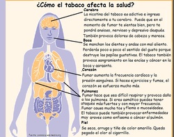 Infografía sobre como el tabaco afecta la salud Imagen portada