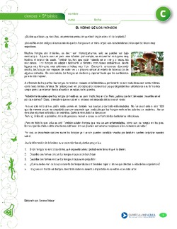 El reino de los hongos Imagen portada