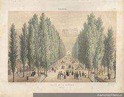 Paseo de la Cañada (actual Alameda) Imagen portada