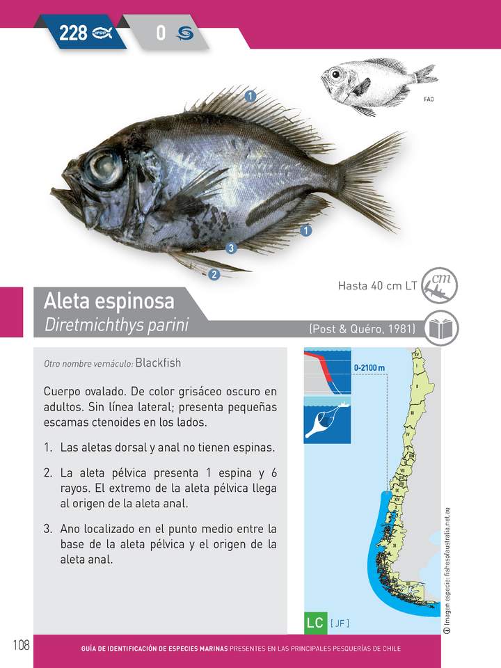 Imagen portada