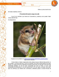 El monito del monte rompe récords Imagen portada