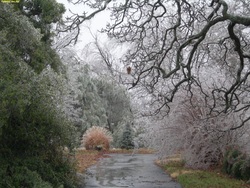 Paisaje de invierno 3 Imagen portada