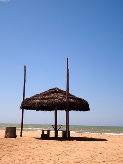 Playa en verano Imagen portada