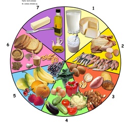 La rueda de los alimentos Imagen portada