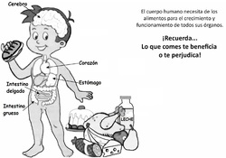 El cuerpo humano y los alimentos Imagen portada