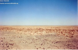 Desierto de Atacama Imagen portada