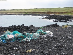Contaminación en playa Imagen portada