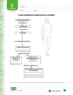 Pubertad en el hombre Imagen portada