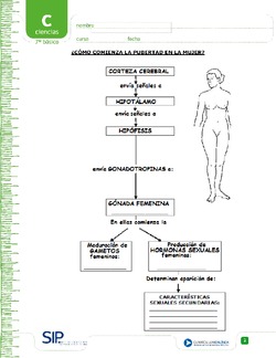 Pubertad en la mujer Imagen portada