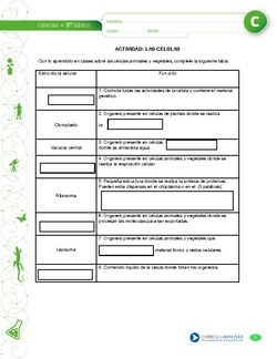 Células Imagen portada