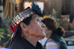 Tesoro humano vivo Imagen portada
