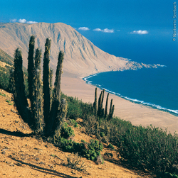 Pan de Azúcar Imagen portada