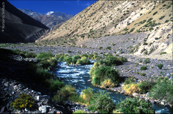 Elqui Imagen portada