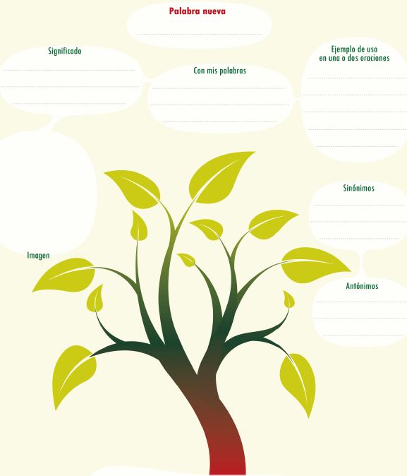 Esquema para aprender una palabra nueva Imagen portada