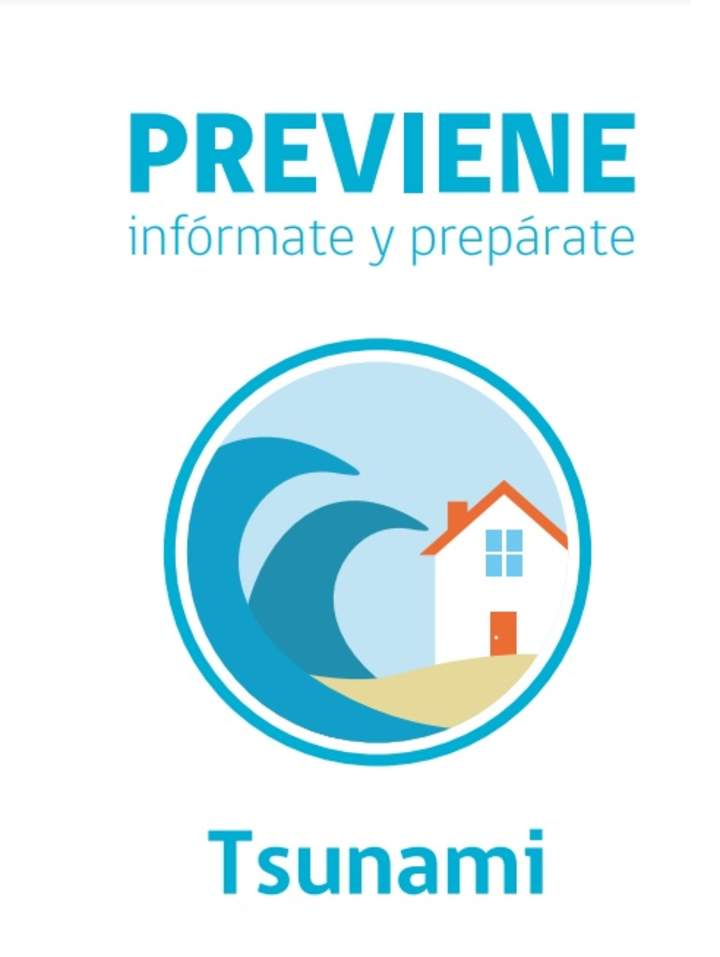 Tsunami Imagen portada