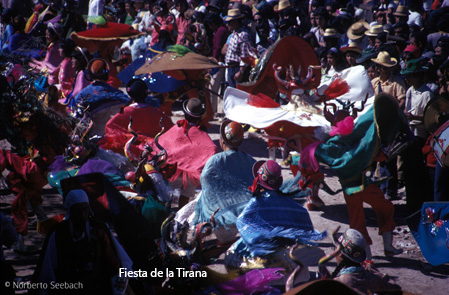 Fiesta de la Tirana Imagen portada
