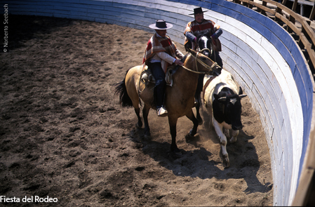 Rodeo Imagen portada
