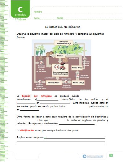 El ciclo del nitrógeno Imagen portada