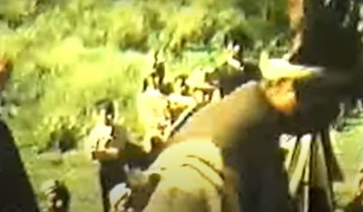 Danzas Mapuche - Mapuche ñi purrun Imagen portada