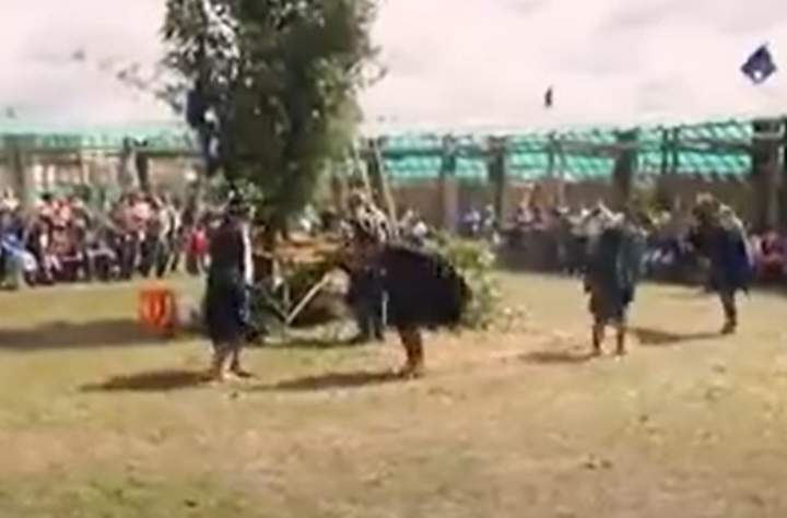 Purrun choique (baile del condor) Imagen portada